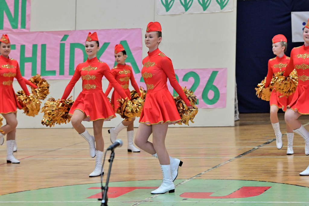COR_8069_00001.jpg