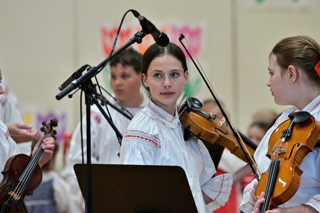 COR_8241_00001.jpg