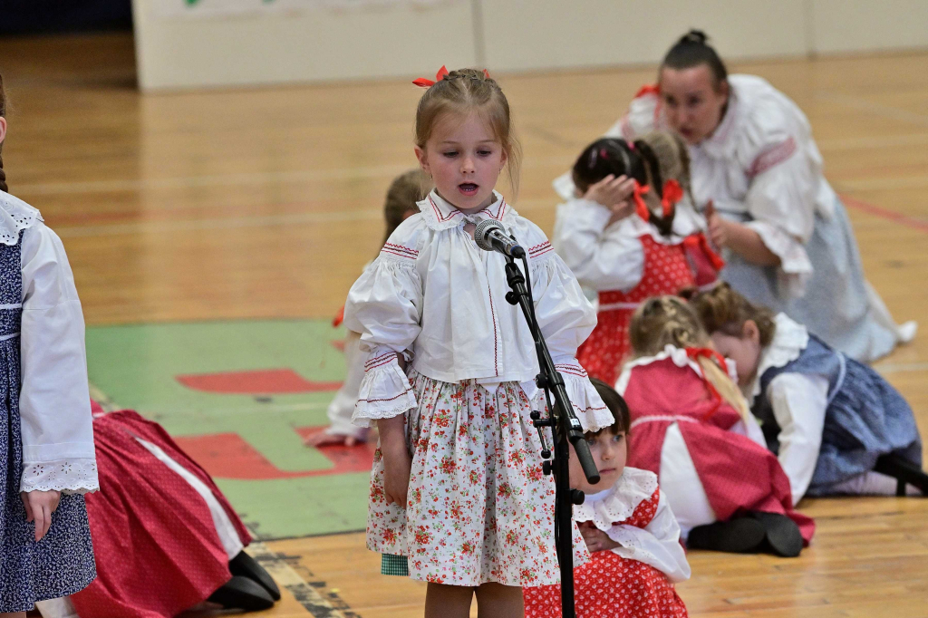 COR_8264_00001.jpg