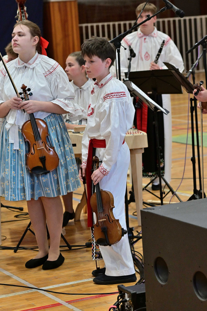 COR_8333_00001.jpg