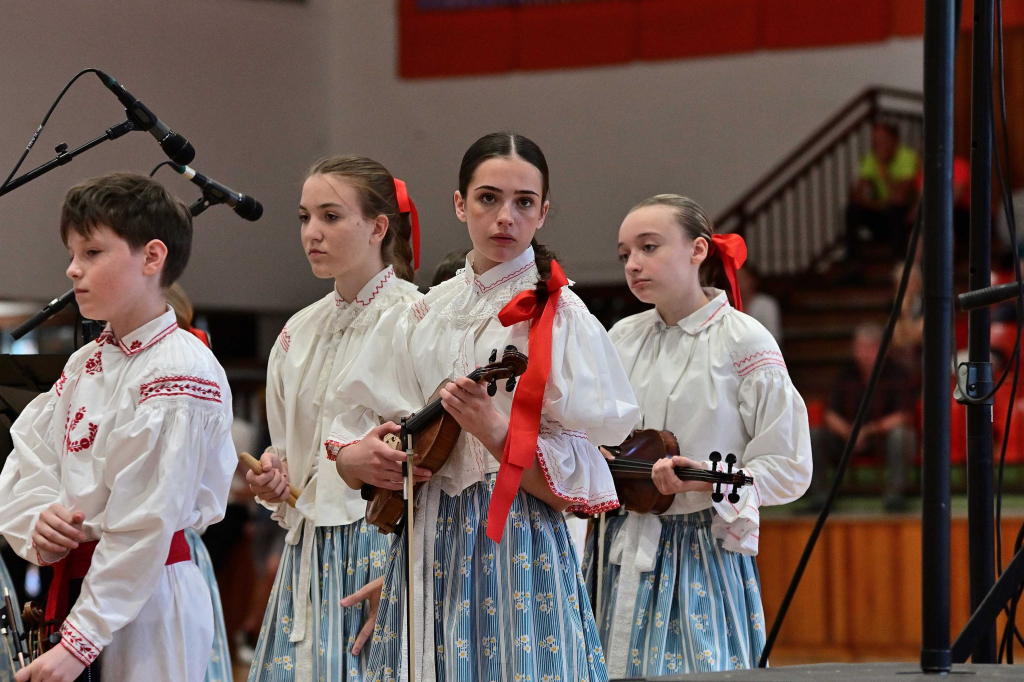 COR_8342_00001.jpg