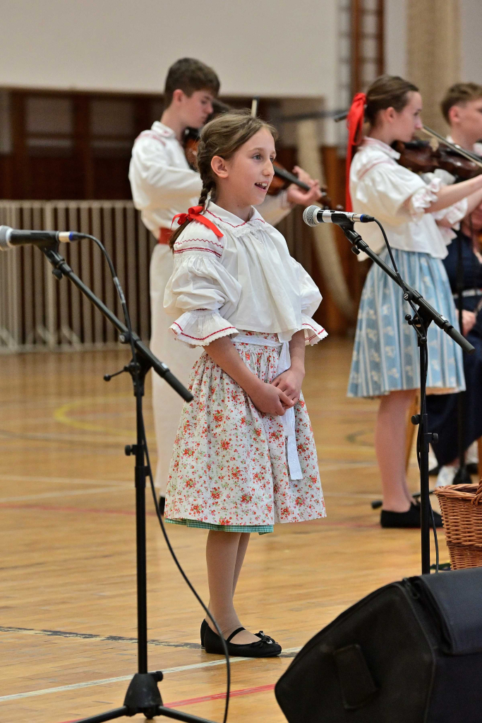 COR_8381_00001.jpg