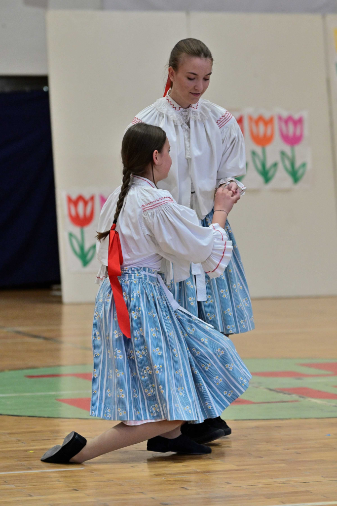 COR_8430_00001.jpg