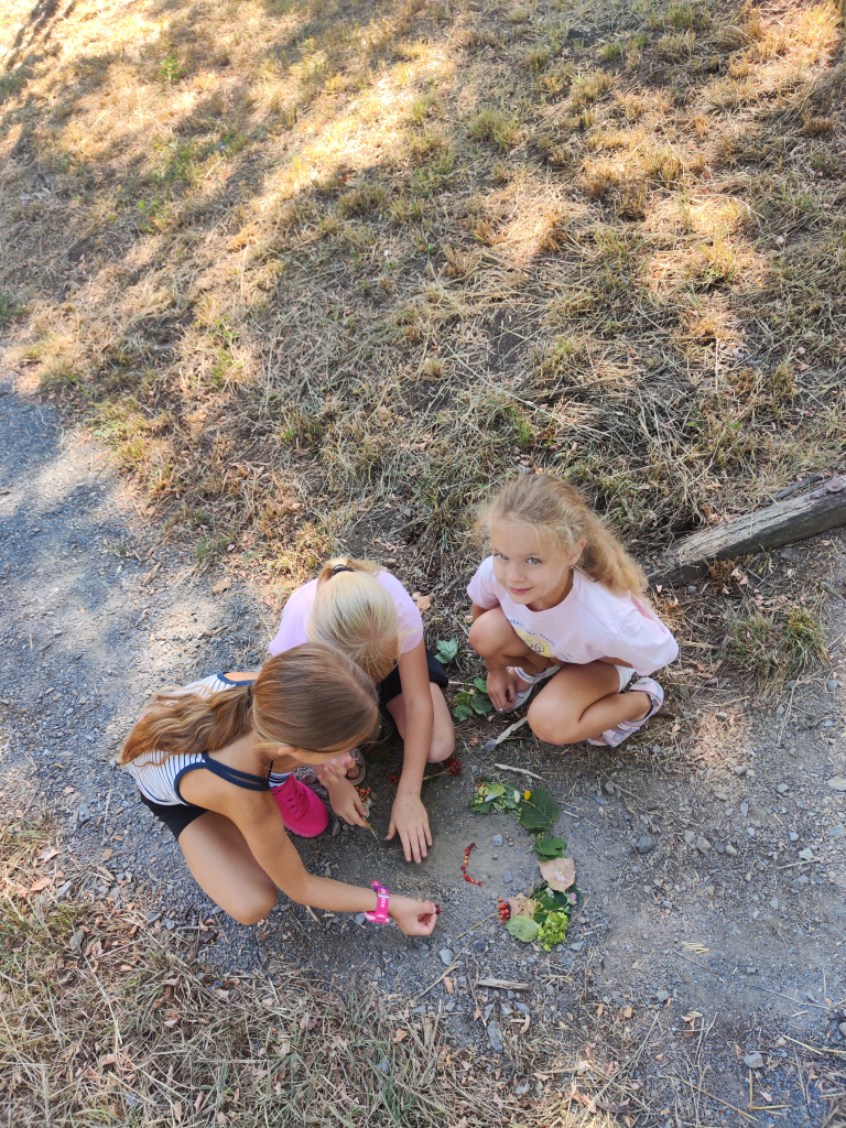 IMG_20260813_103416.jpg
