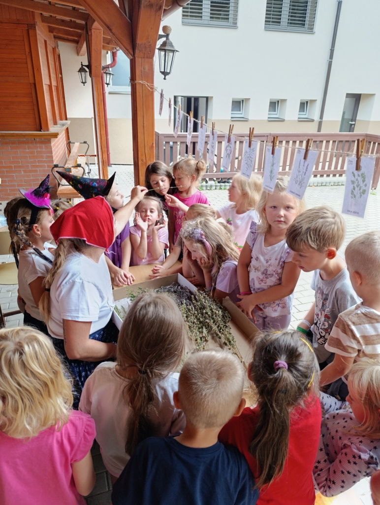 IMG_20260819_140904.jpg