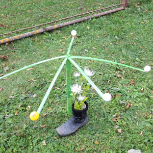20250830_160058.jpg