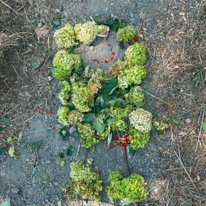 Příměstský tábor Divotvorec 2026